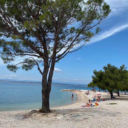 Family Apartments Vesna- 100 M Beach -Center Crikvenica Luaran gambar