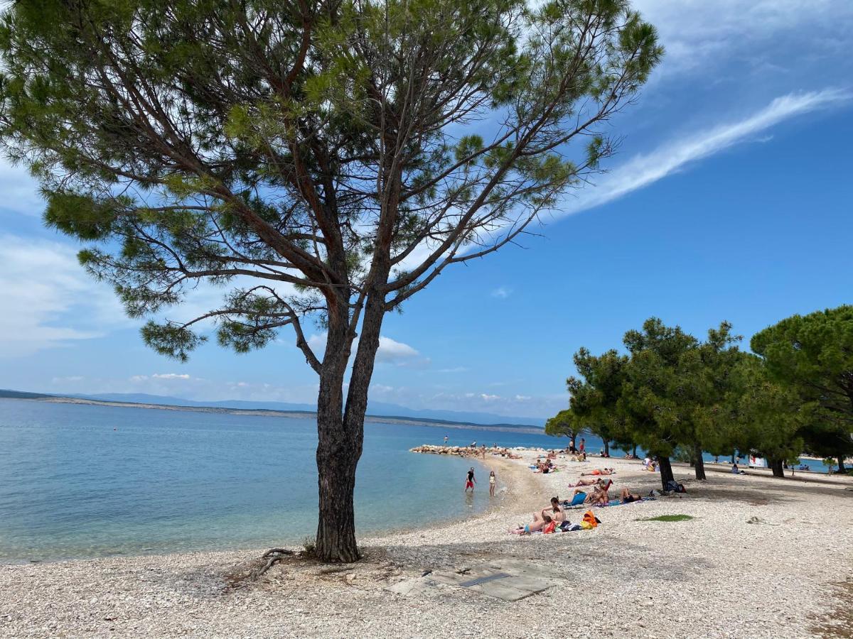 Family Apartments Vesna- 100 M Beach -Center Crikvenica Luaran gambar