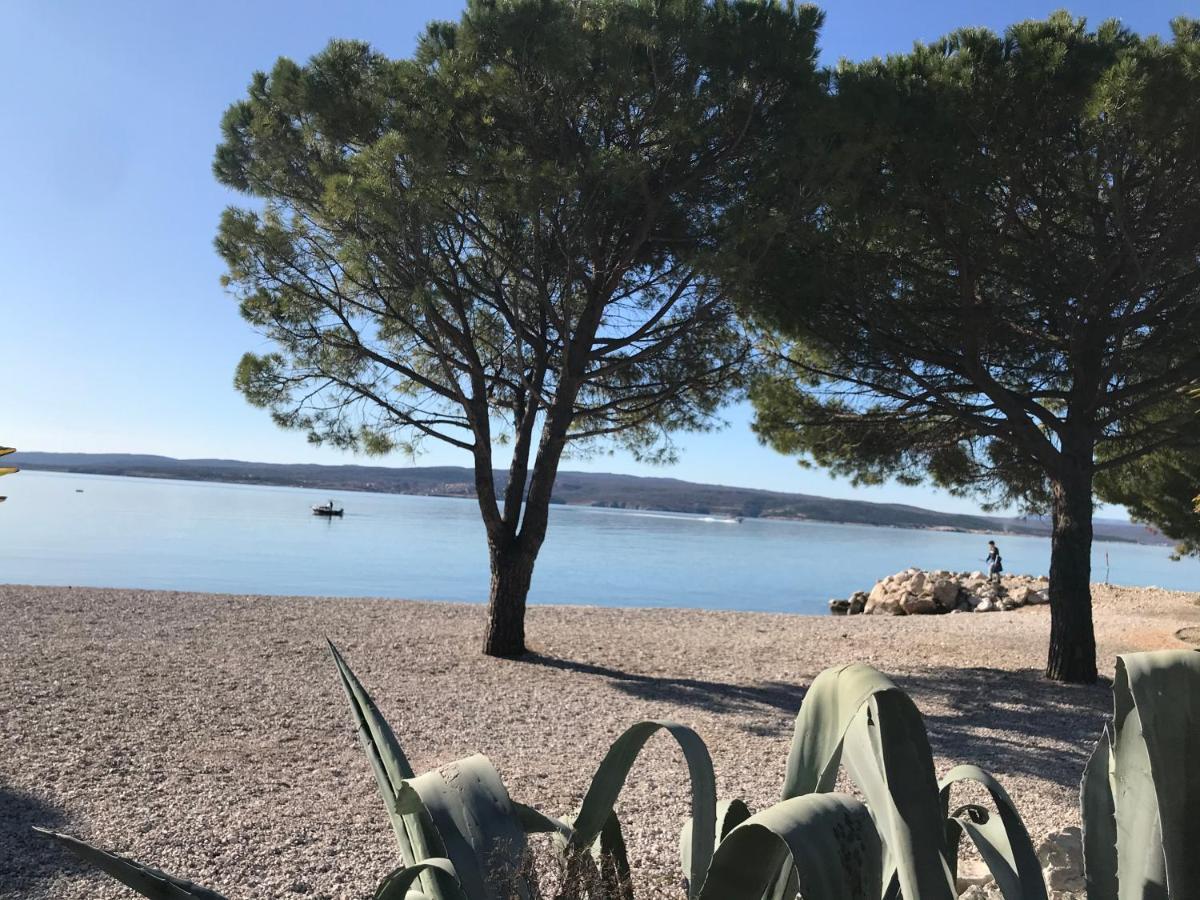 Family Apartments Vesna- 100 M Beach -Center Crikvenica Luaran gambar