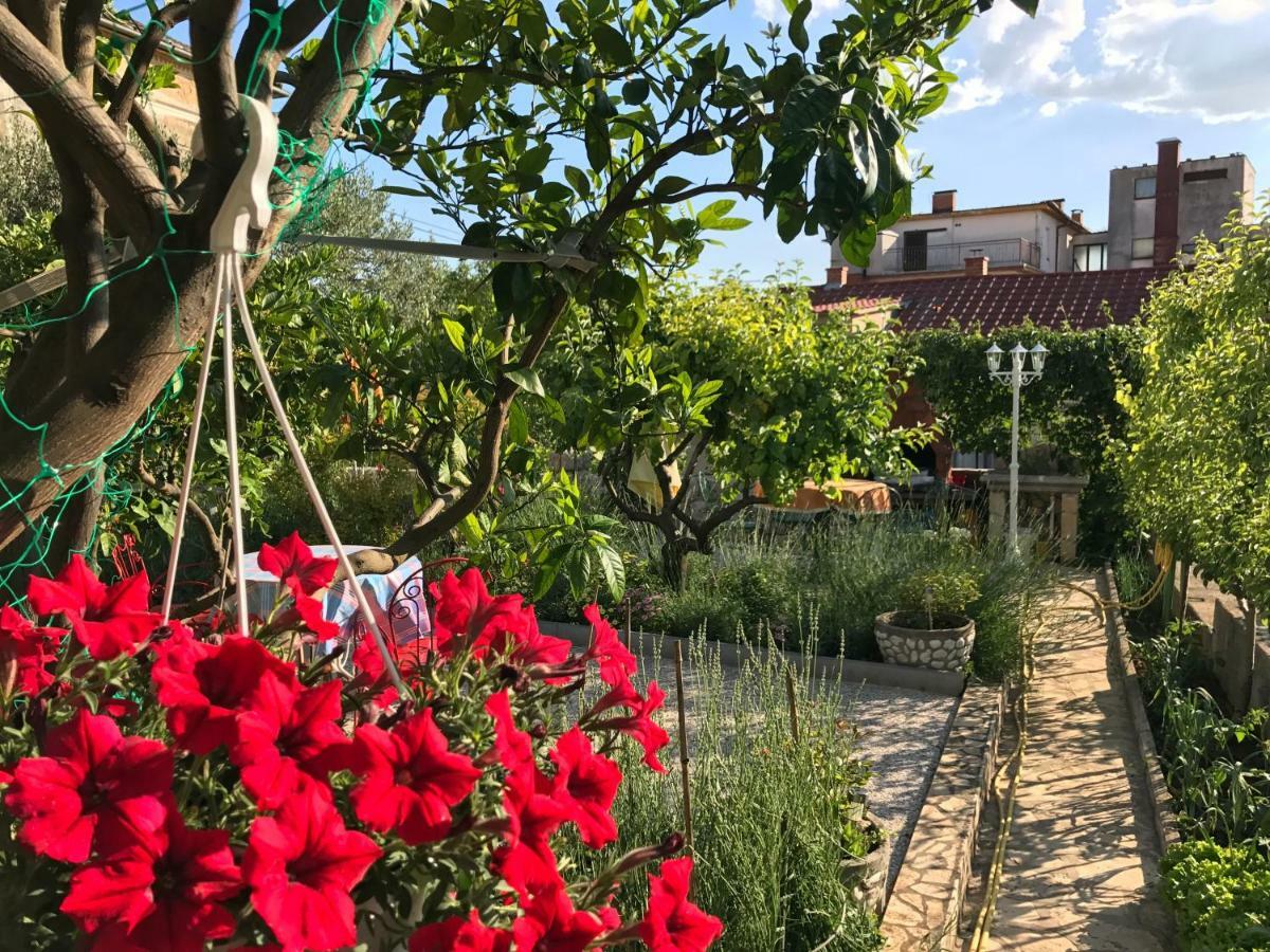 Family Apartments Vesna- 100 M Beach -Center Crikvenica Luaran gambar